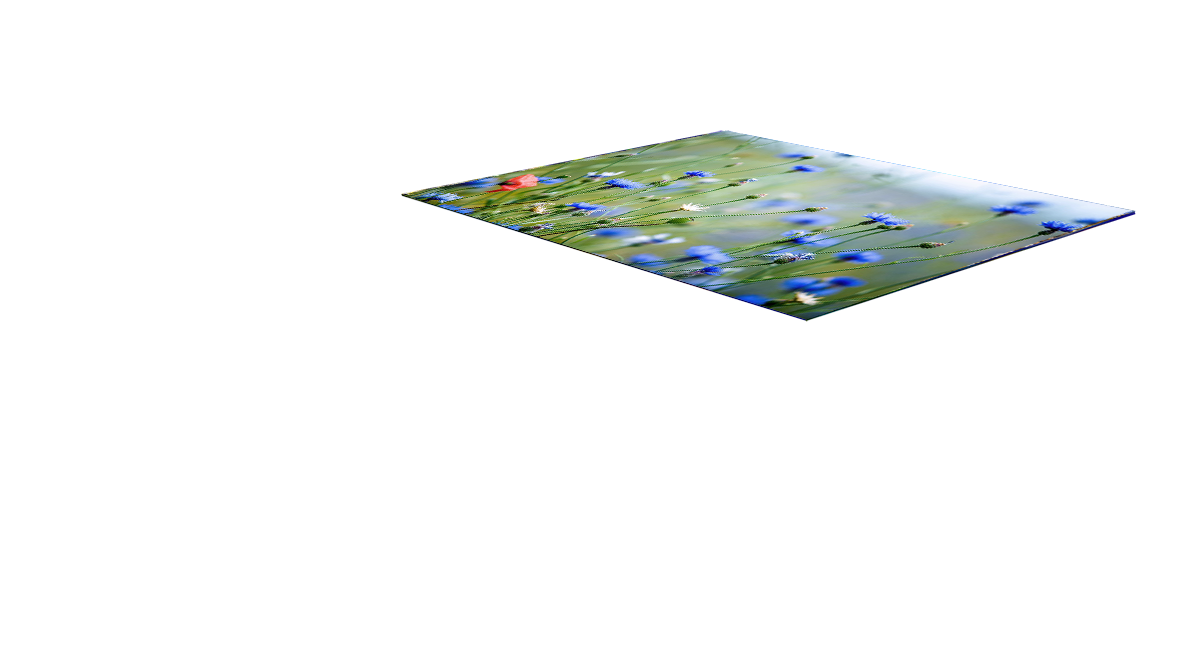 3D полы. Вид 2